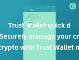 Trust Wallet quick download Securely manage your crypto with Trust Wallet mobile app